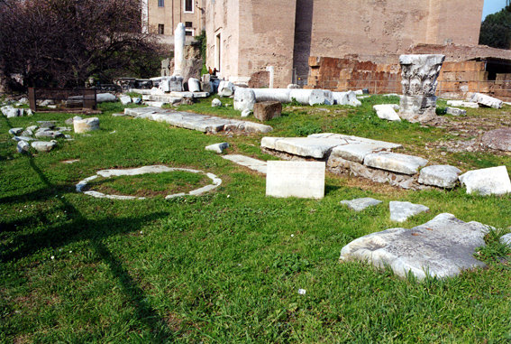 rm_1117.jpg [255775 bytes]