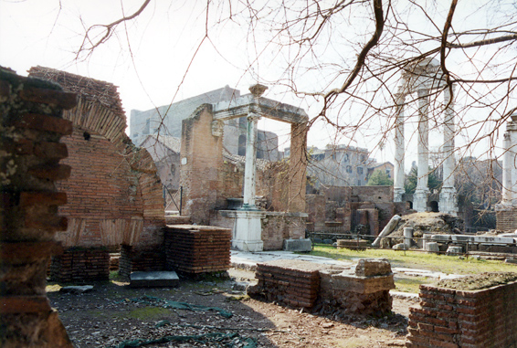 rm_1126.jpg [201207 bytes]