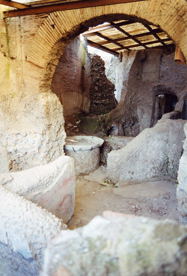 rm_1134.jpg [174894 bytes]