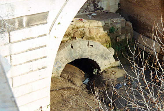 rm_1136.jpg [192243 bytes]