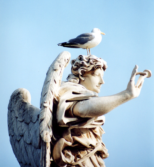 rm_1324.jpg [166000 bytes]