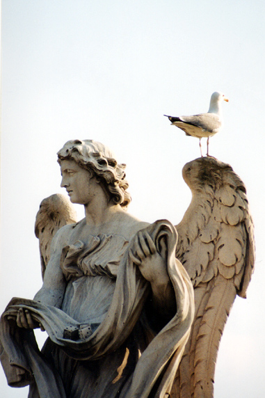 rm_1325.jpg [119517 bytes]