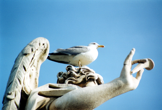 rm_1326.jpg [113088 bytes]