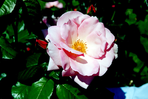 rm_1340.jpg [122847 bytes]