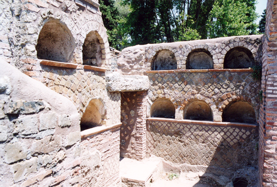 rm_1396.jpg [228232 bytes]