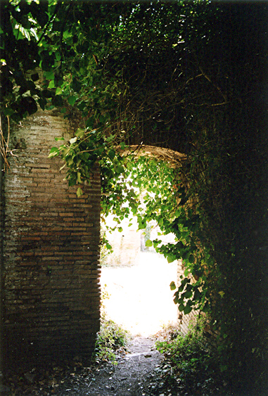 rm_1421b.jpg [256441 bytes]