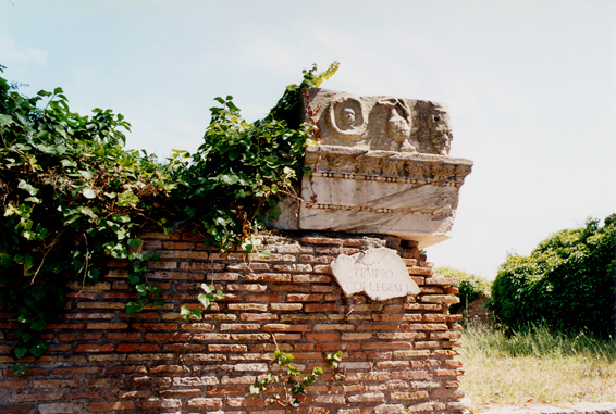 rm_1439.jpg [189356 bytes]