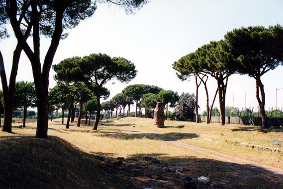 rm_1526.jpg [184533 bytes]