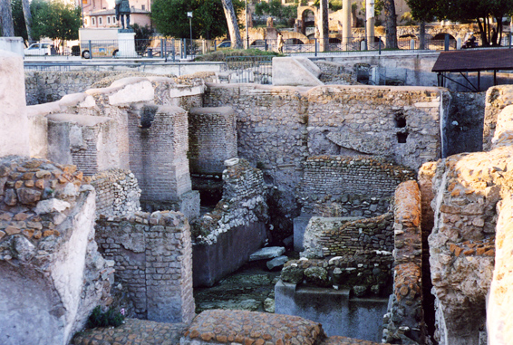 rm_1569.jpg [234675 bytes]