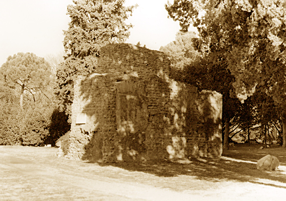 rm_1585.jpg [221489 bytes]