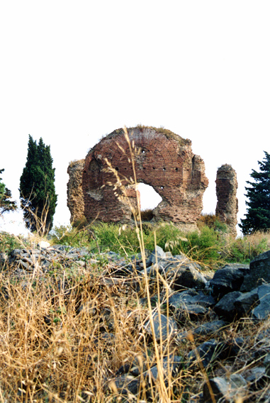 rm_1591.jpg [179761 bytes]