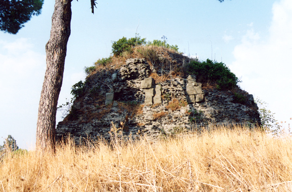 rm_1593.jpg [197567 bytes]