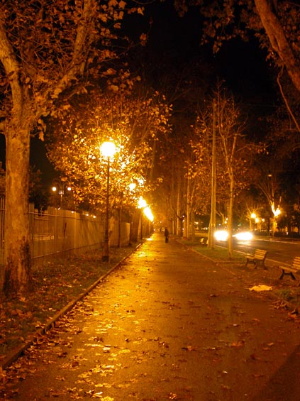 rm_1632.jpg [80270 bytes]