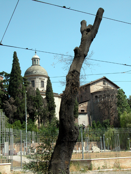 rm_1706.jpg [188359 bytes]