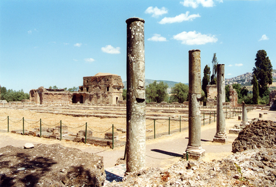 rm_593.jpg [188091 bytes]