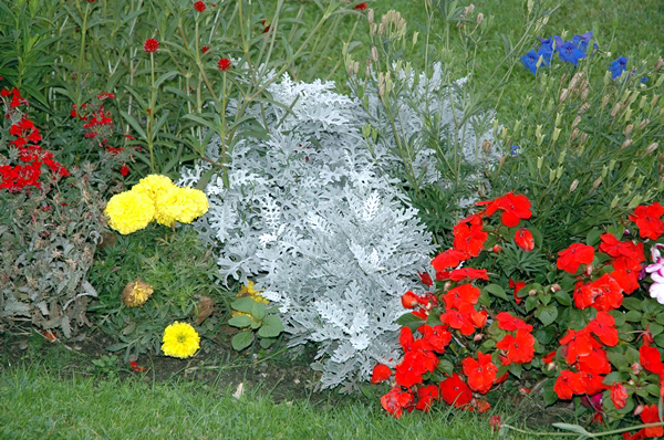 wn_460.jpg [399659 bytes]