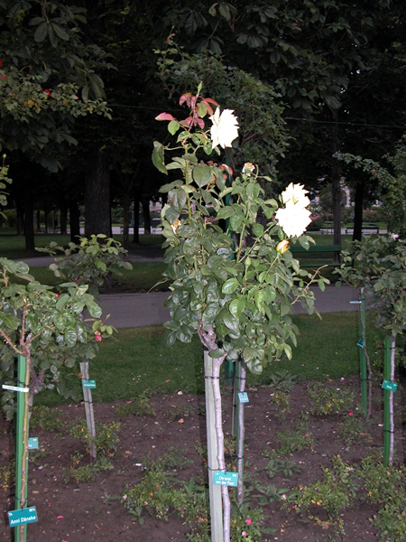 wn_719.jpg [332733 bytes]