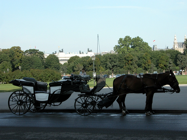 wn_762.jpg [243910 bytes]