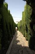 gr_151.jpg [28867 bytes]