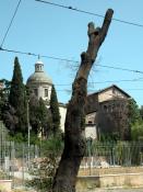 rm_1706.jpg [6437 bytes]