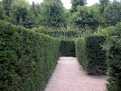 wn_756.jpg [9092 bytes]