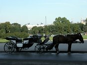 wn_762.jpg [6425 bytes]