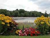 wn_775.jpg [8777 bytes]