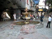 wn_790.jpg [9087 bytes]