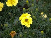 wn_801.jpg [9701 bytes]